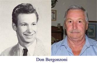 Bergonzoni