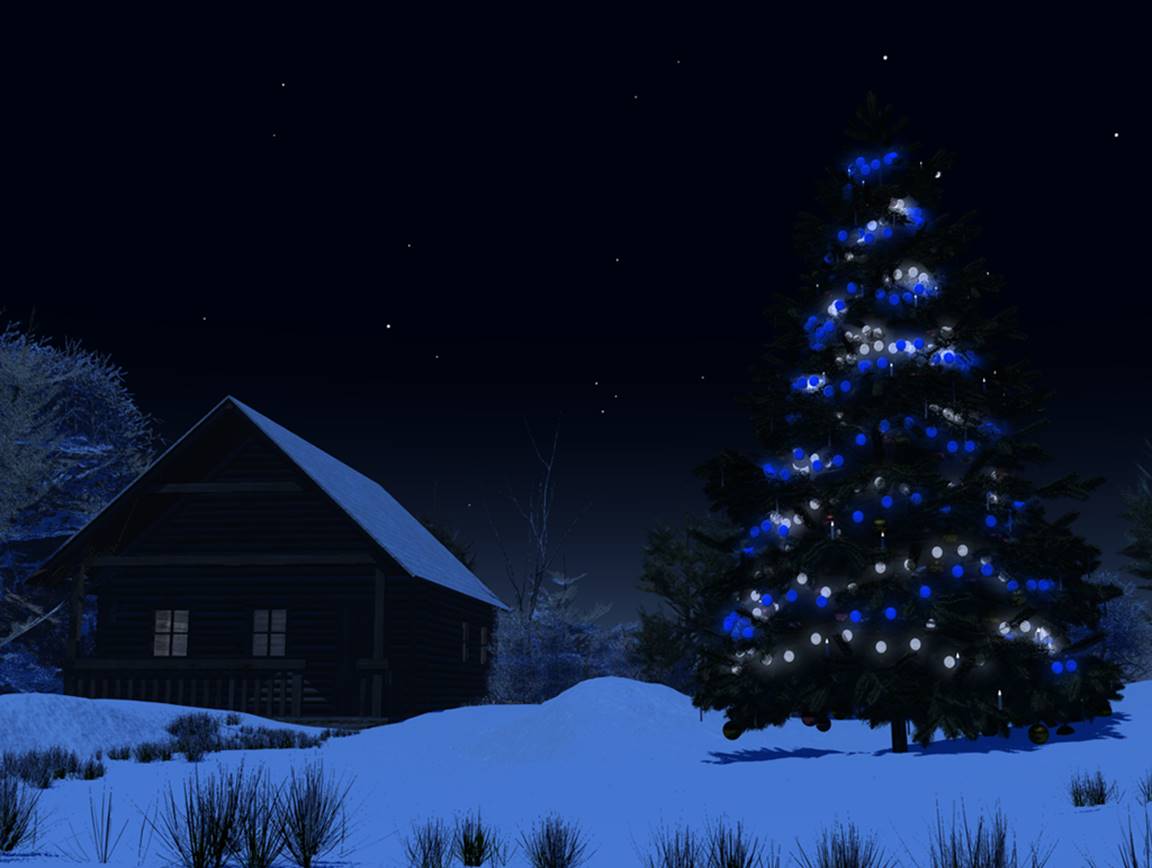 Christmas Tree at Night by Island-Dog on DeviantArt